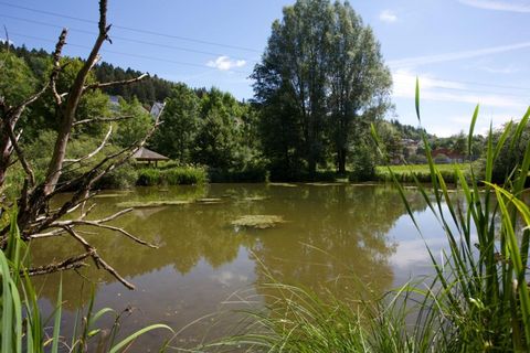 Naturschutzgebiet Heimbachaue Betzweiler