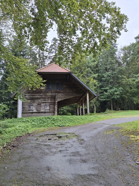Waldfestplatz Franzenrain