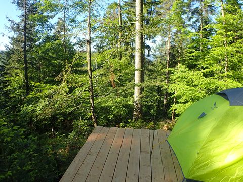 Übernachten im Zelt im Wald