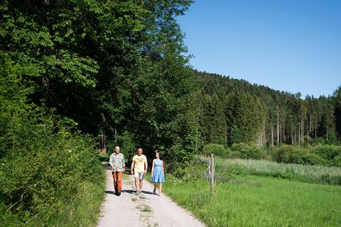 Wandern im Heimbachtal