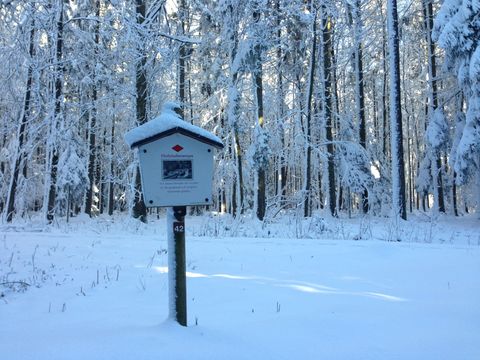 Winterlandschaft