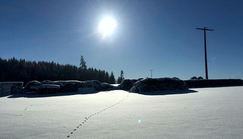 Winterlandschaft