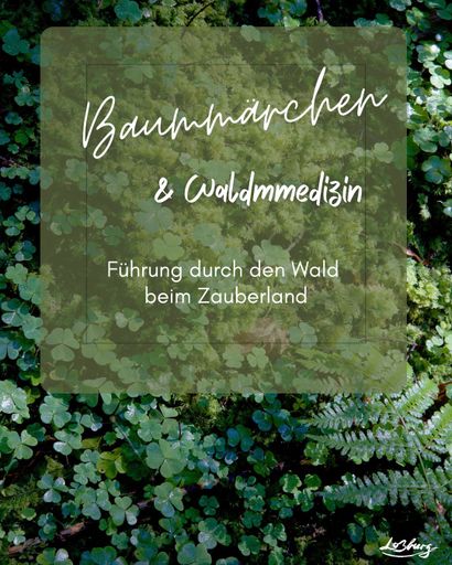 Waldboden mit Klee und feuchtem Moos